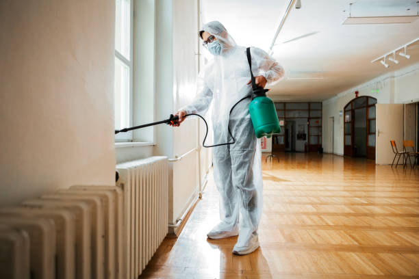 Emergency Pest Control in Washington, DC